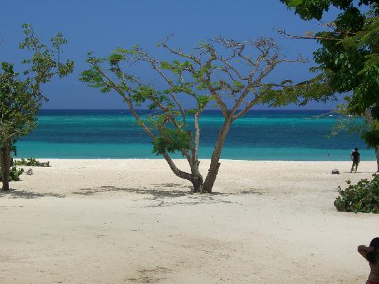 Casa de Yodalis Trasobares-客卧