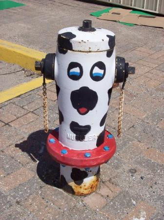 Manitouwadge旅游攻略图片