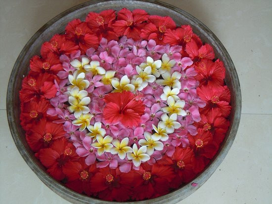 Hindi Teacher Varanasi景点图片