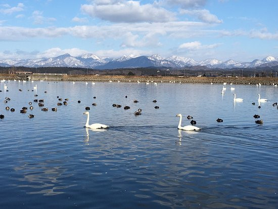 Nonomuratameike Lake景点图片
