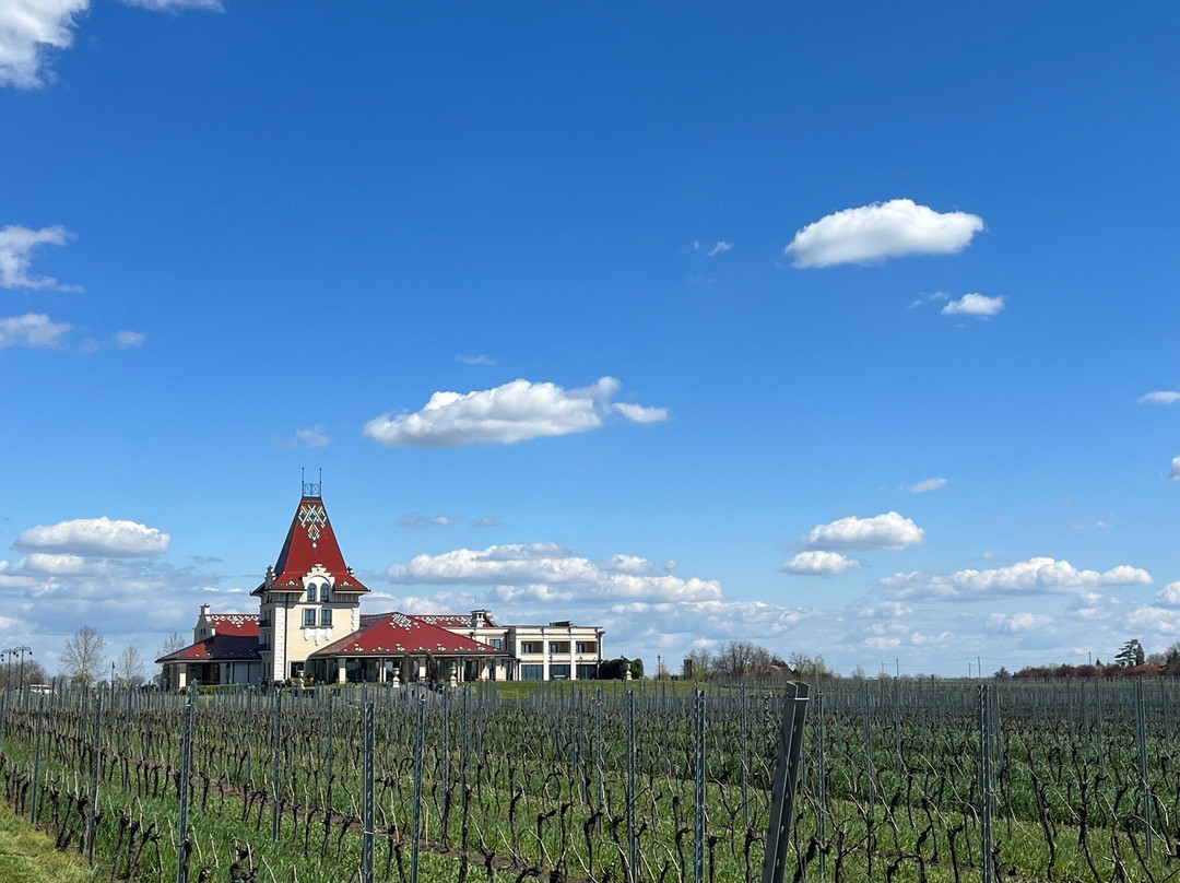 Winery Zvonko Bogdan, Subotica景点图片