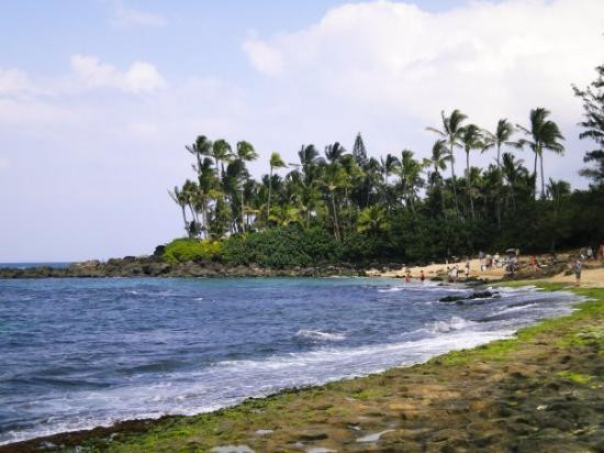 海龟湾度假村高尔夫球场-卡胡库必去景点