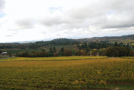 Willamette Valley Vineyards-Turner必去景点