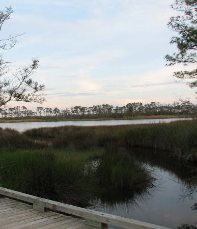 Bon Secour National Wildlife Refuge-格尔夫海岸必去景点