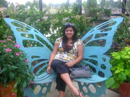 Huntsville Botanical Garden-亨茨维尔必去景点