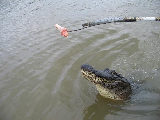 Terrebonne Parish-霍马必去景点