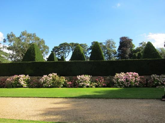 Athelhampton House and Gardens景点图片