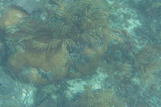 Playa La Chiva-Puerto Ferro必去景点