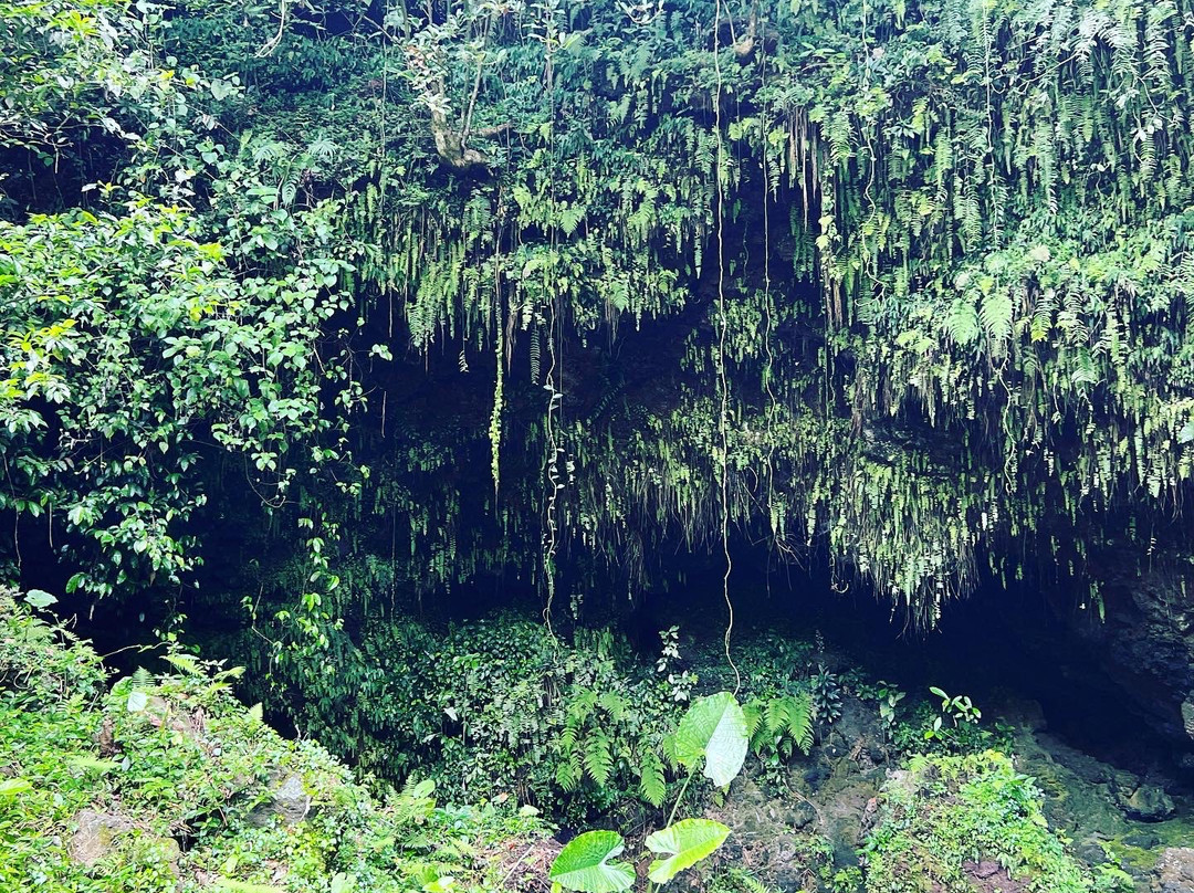 火山口国家地质公园景点图片