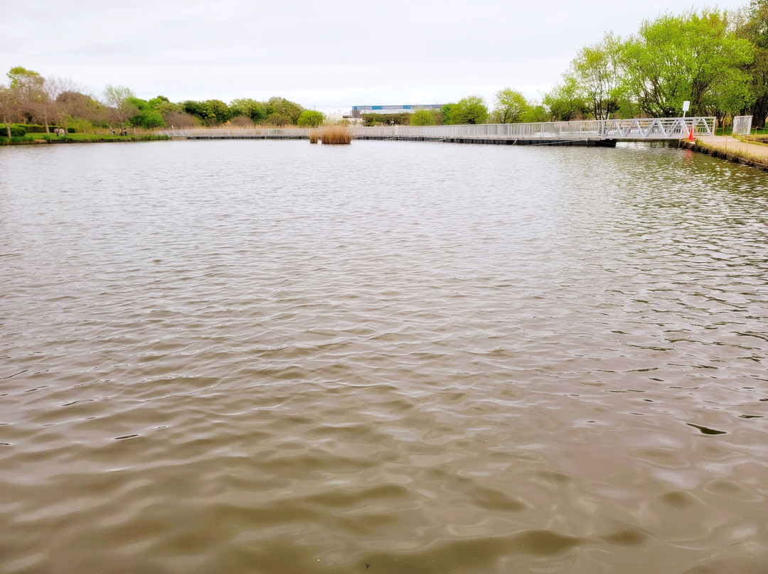 Hanyu Suigo Park-羽生市必去景点