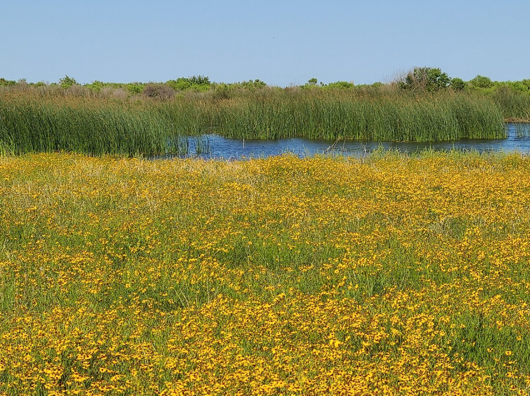 Brazoria National Wildlife Refuge-Freeport必去景点