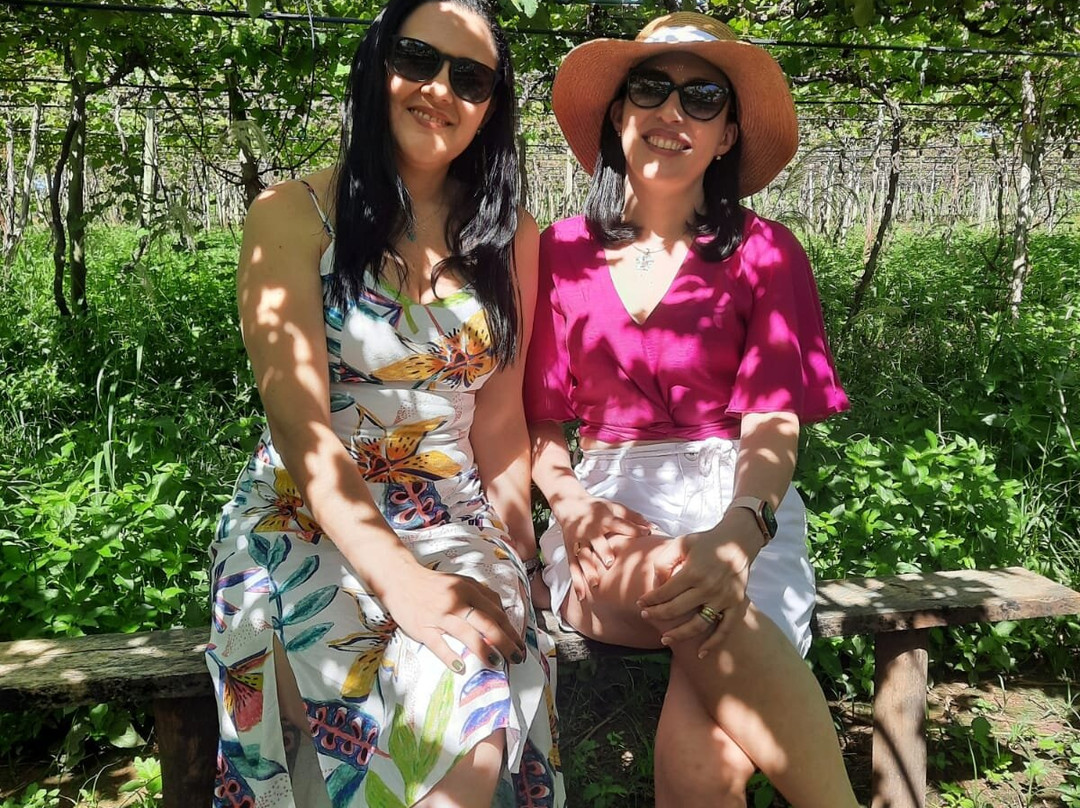 Vinícola Assunção-Pirenopolis必去景点