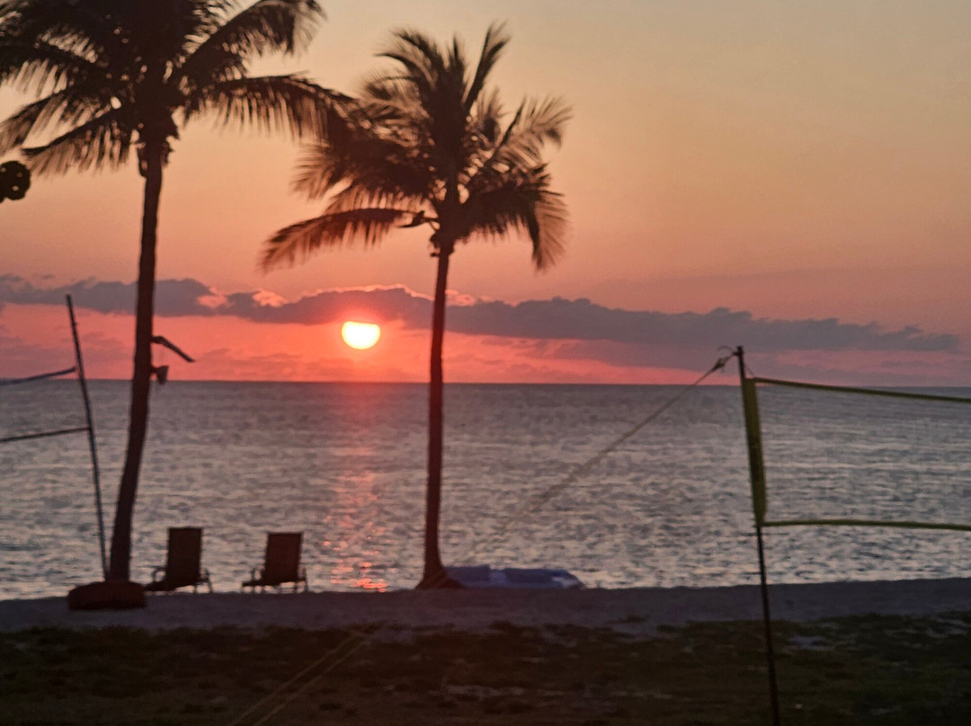 Old Bahama Bay主图