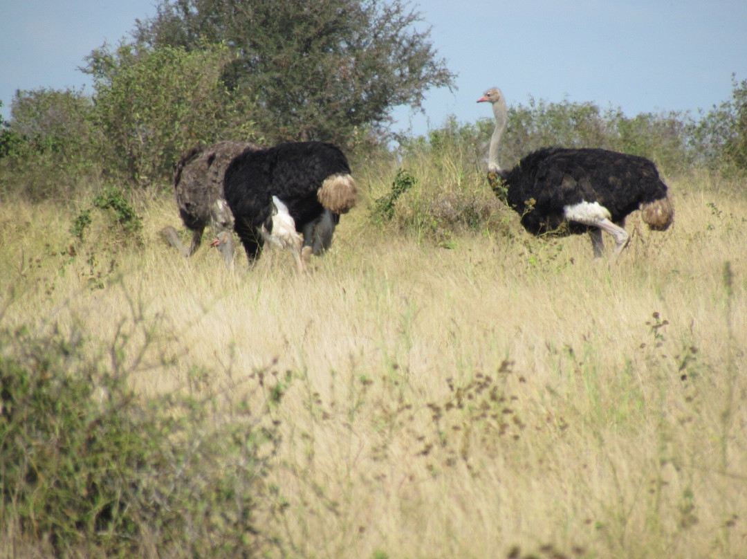 Nandzana Safaris-伐拉博瓦必去景点