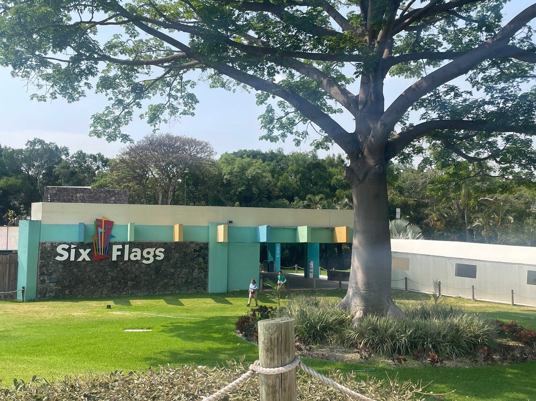 Six Flags Hurricane Harbor Oaxtepec景点图片