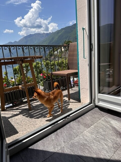 Albergo Carcani by Ketty & Tommy主图