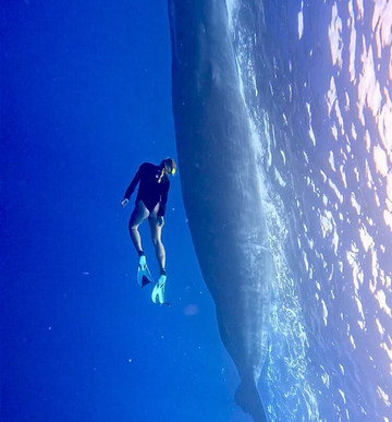 Ocean Brothers Mauritius-塔玛琳必去景点