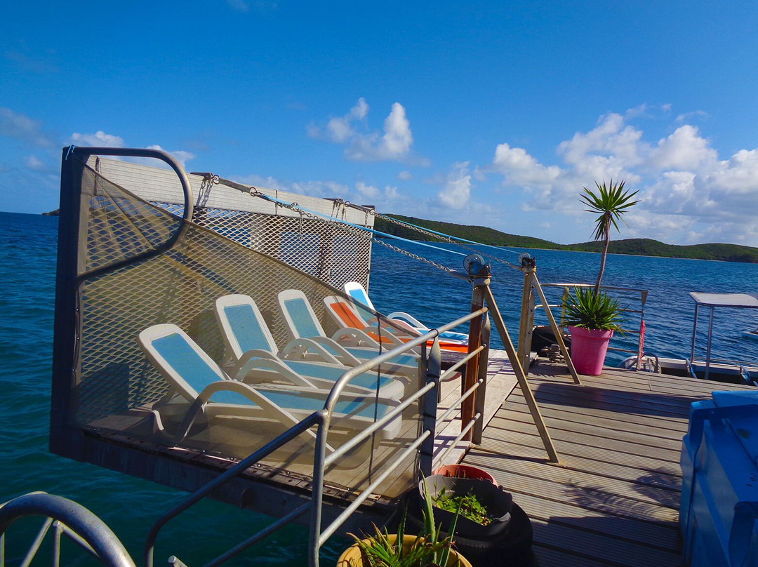 Le Ponton-努美阿必去景点