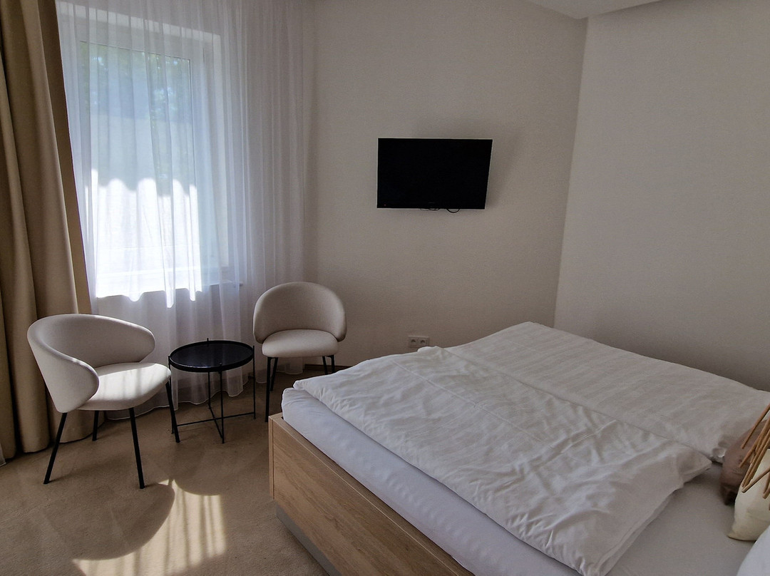 Hotel U Kaplicky主图