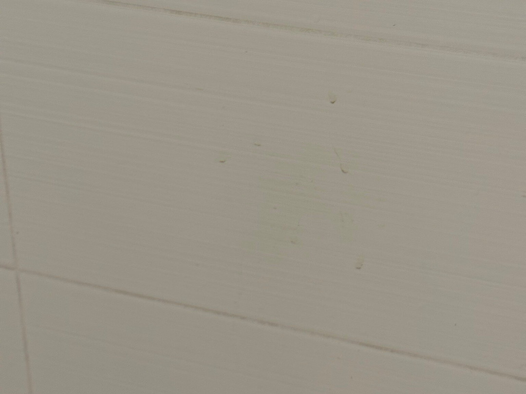 TownePlace Suites by Marriott Latham Albany Airport主图