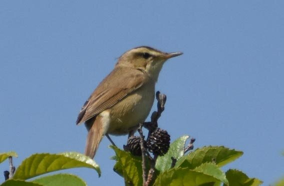 Horonobe Visitor Center-幌延町必去景点