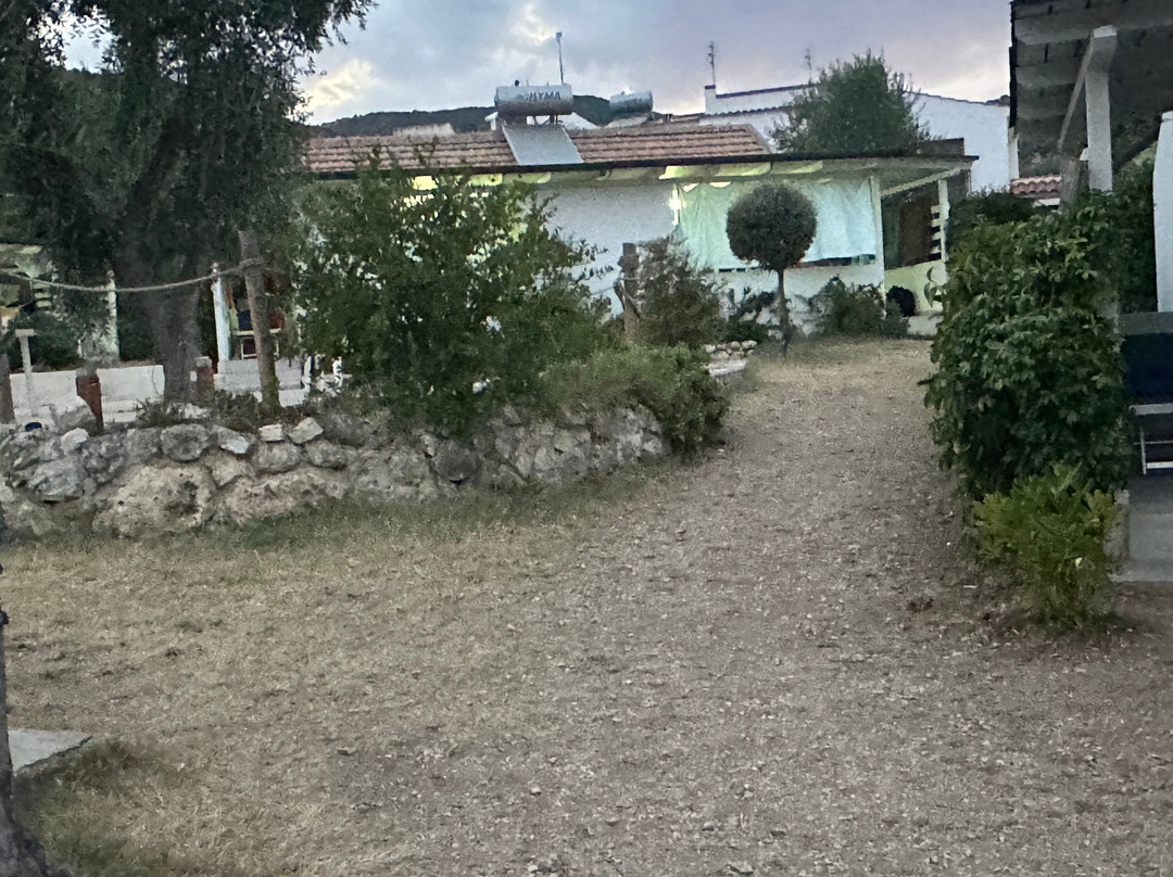 Leonardo Casa Vacanze主图