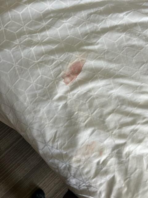 智选假日套房酒店达拉斯的南 - 迪索托主图