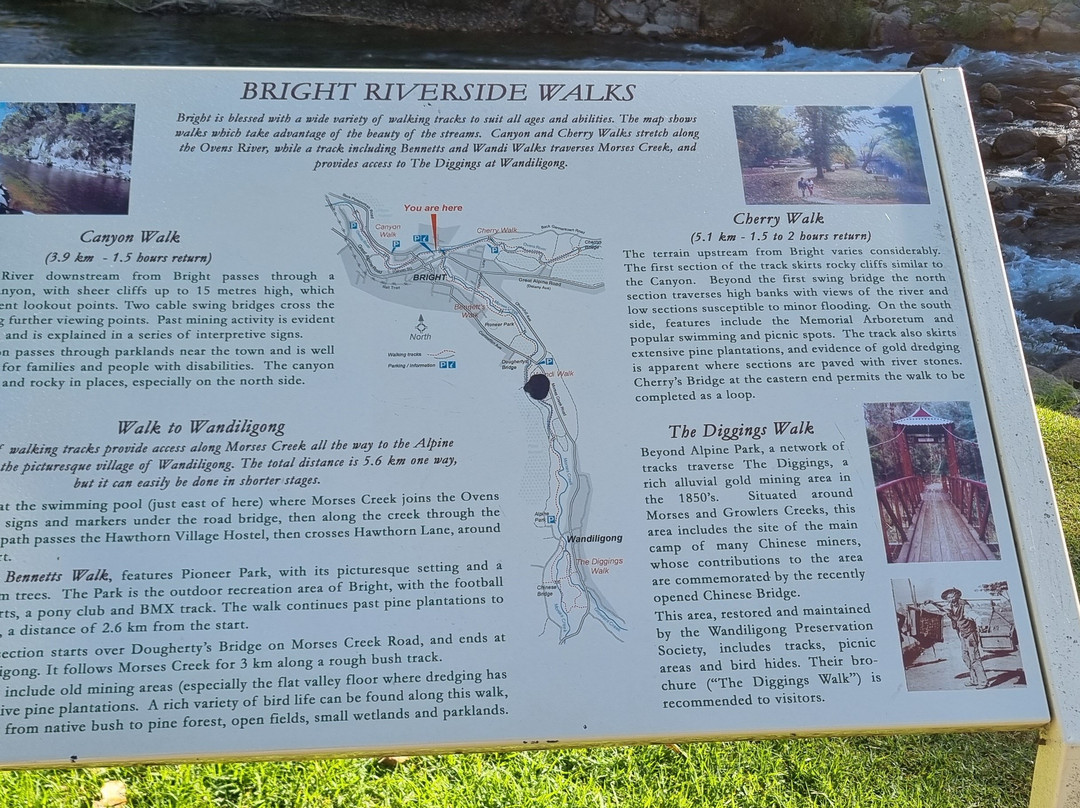 Cherry Walk Nature Trail-布赖特必去景点