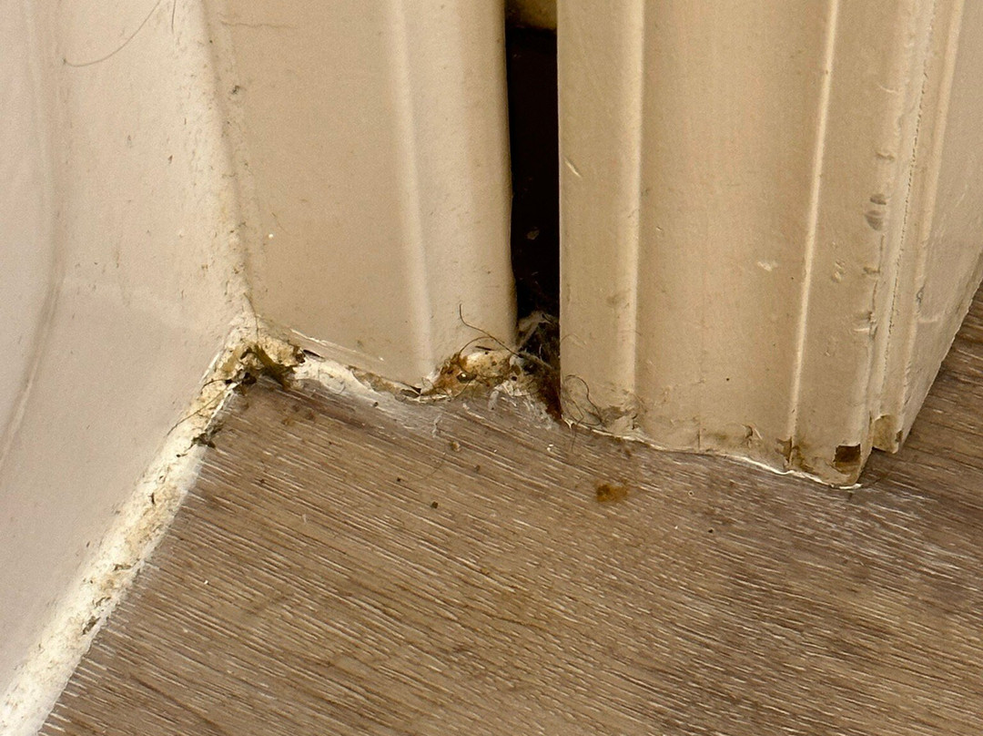 Days Inn & Suites by Wyndham Florence/Jackson Area主图