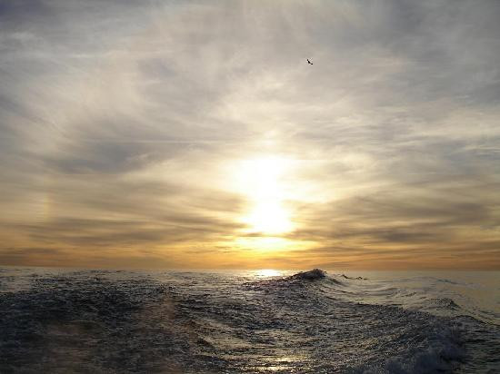 蒙特雷公主观鲸之旅-蒙特雷必去景点