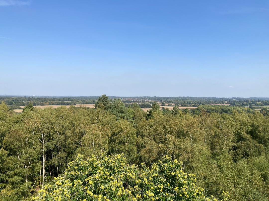Semaphore Tower Wisley