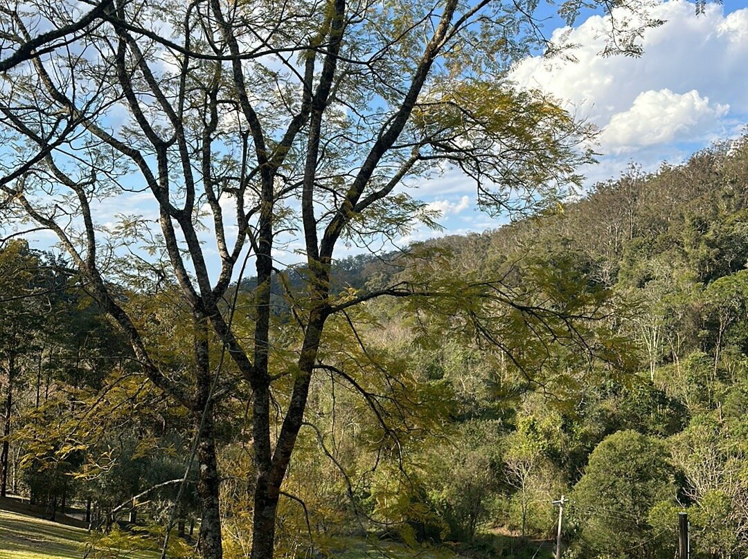 Copeland House主图