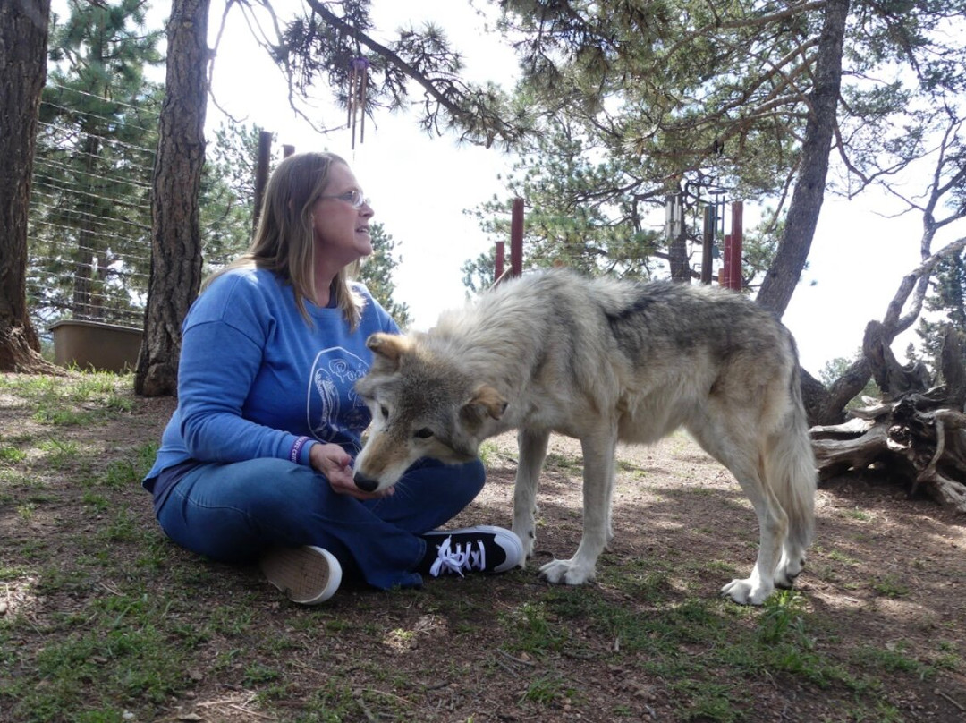 Colorado Wolf and Wildlife Center景点图片
