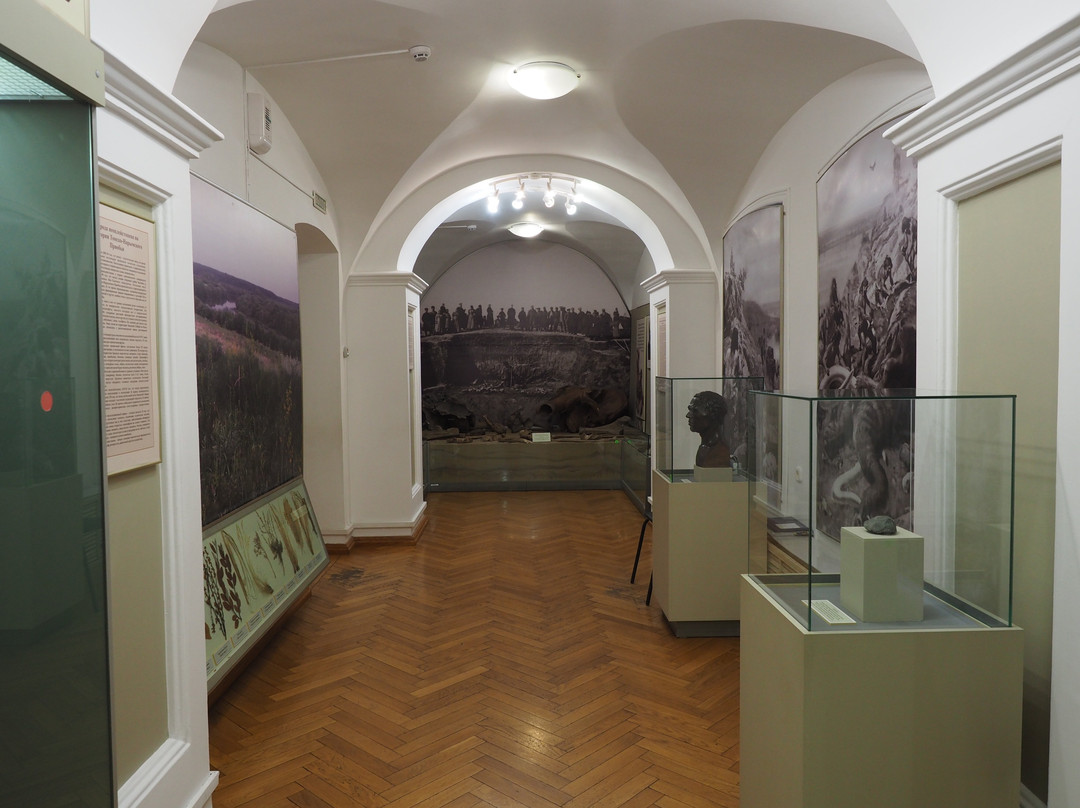 Tomsk Regional Local Lore Museum景点图片