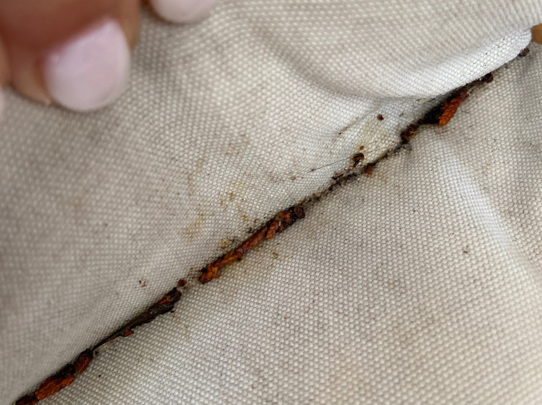 Lido Corfu Sun Hotel主图