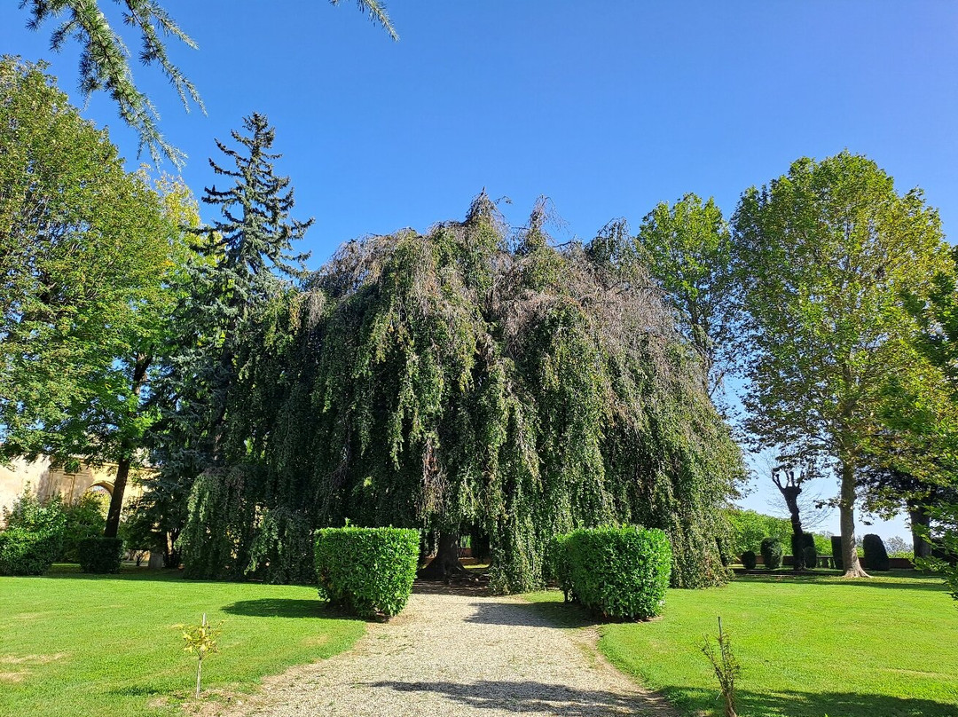 Villa Lascaris-Pianezza必去景点