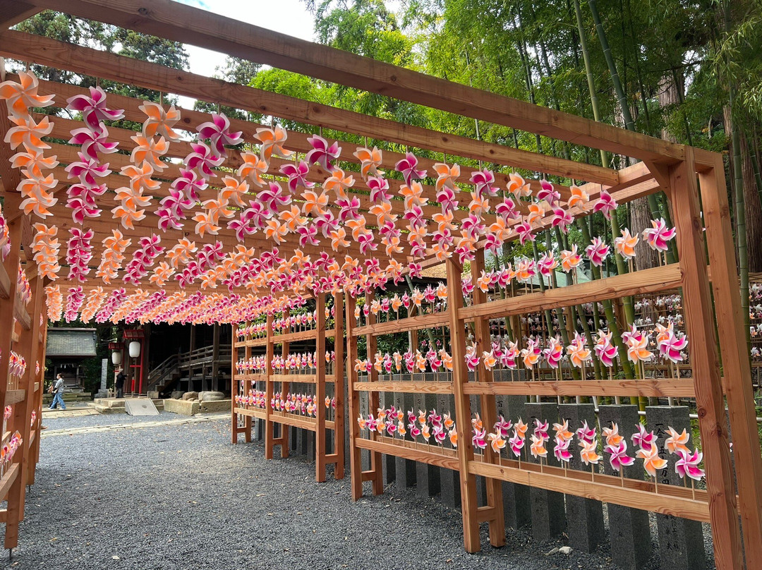 Kumano Taisha Shrine-南阳市必去景点