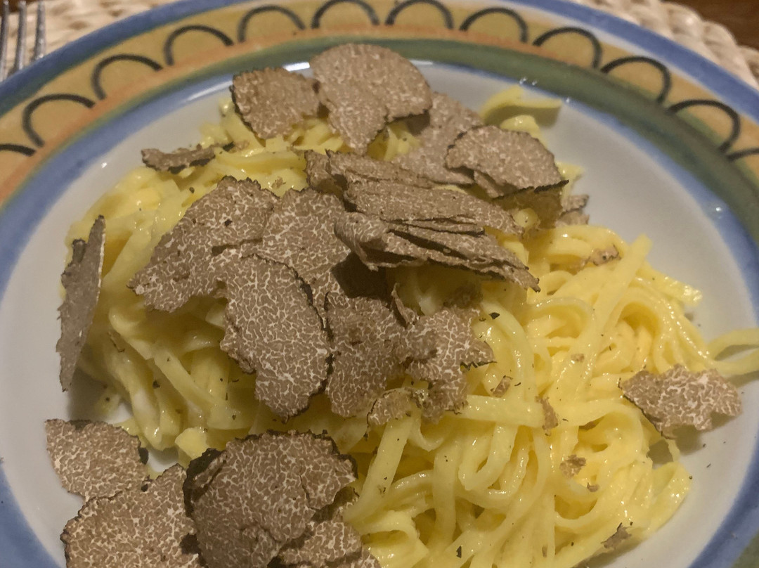 Giulio the Truffle Hunter-巴尼奥阿里波利必去景点