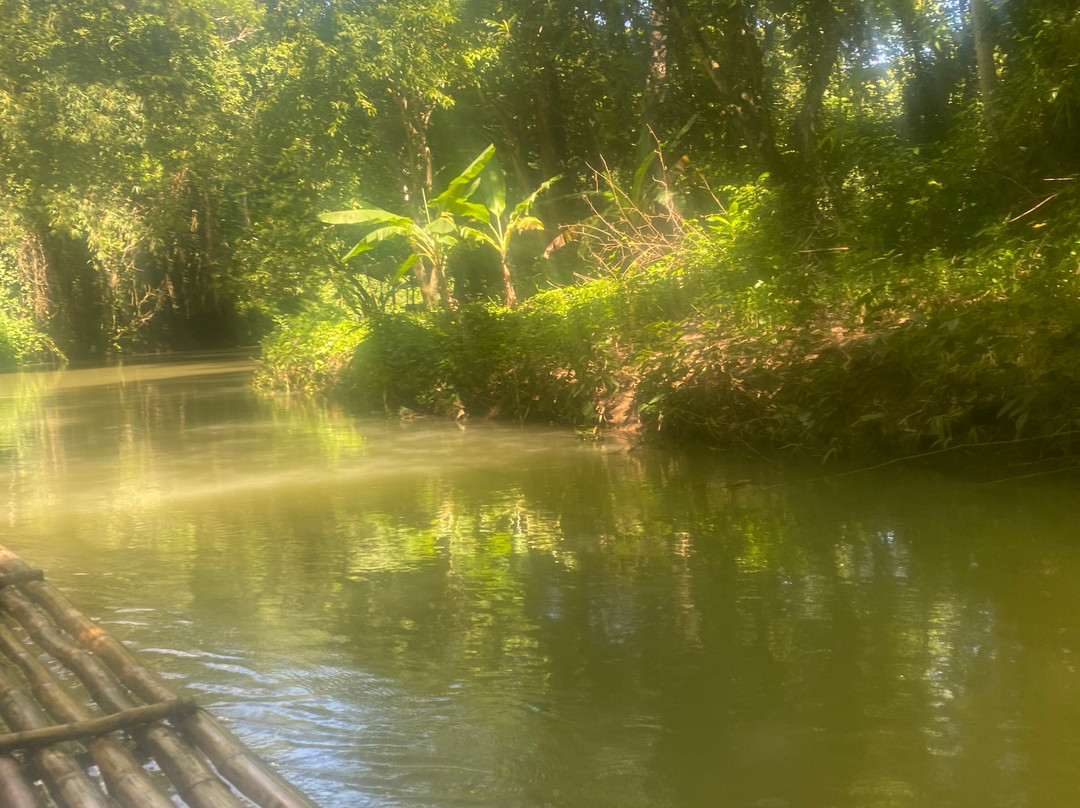 PPP Tran Tours Jamaica-蒙特戈贝必去景点