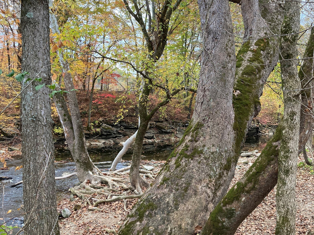 Cedar Bluffs Nature Preserve-布卢明顿必去景点
