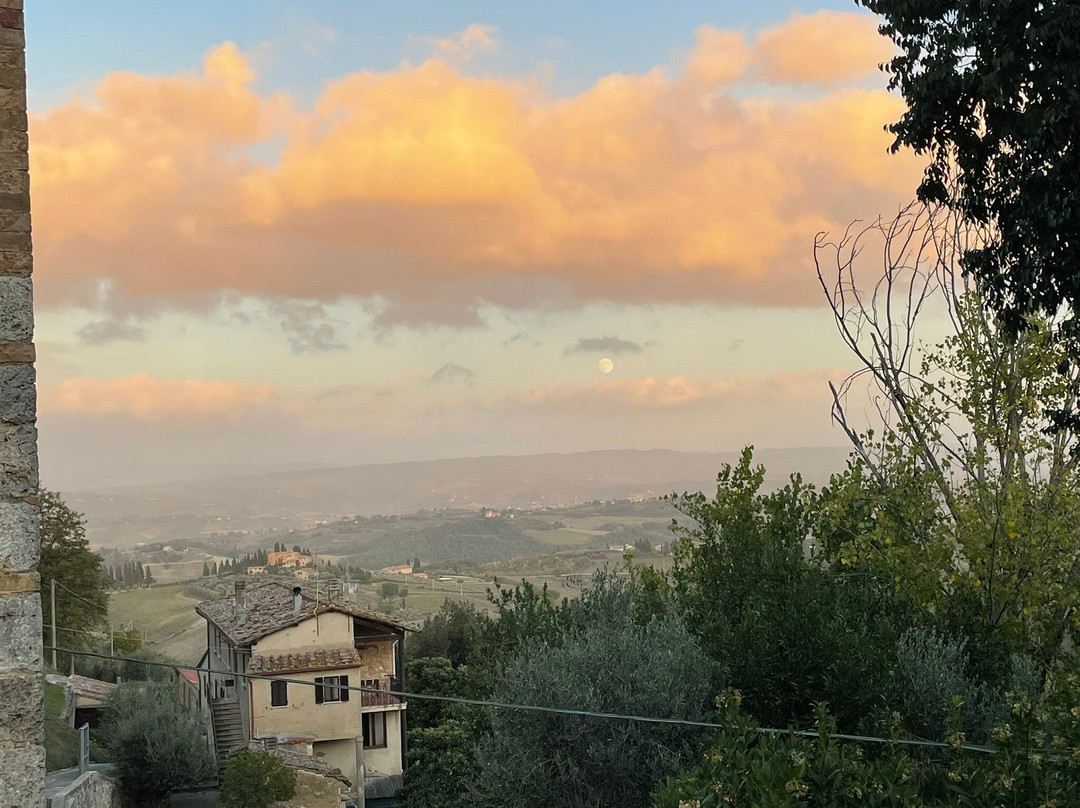 ULTIMATE TOURS-佛罗伦萨必去景点