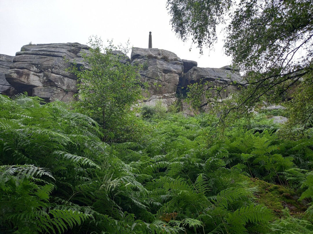 Nelsons Monument景点图片