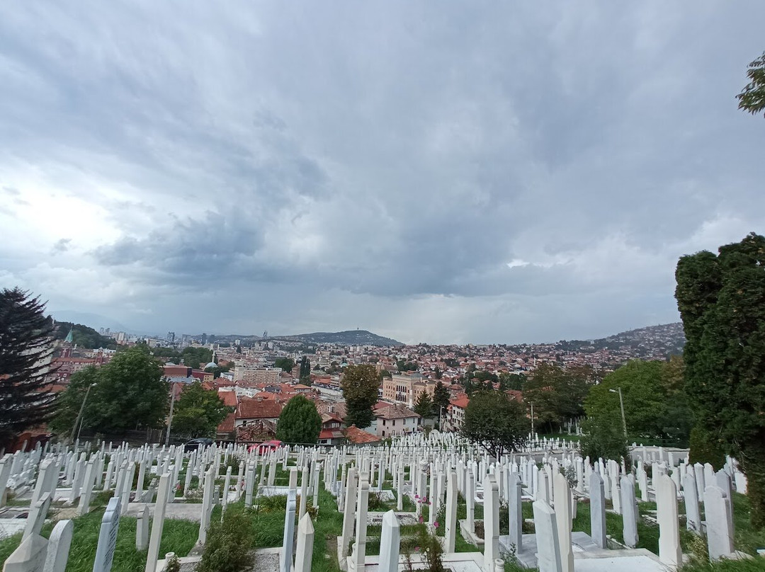 Alifakovac Cemetery-萨拉热窝必去景点