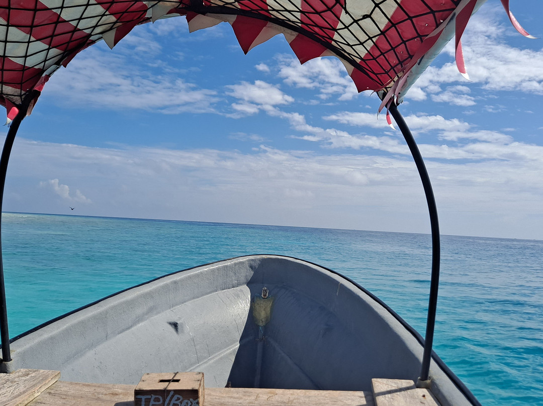 Marlin Zanzibar Adventures-石头城必去景点