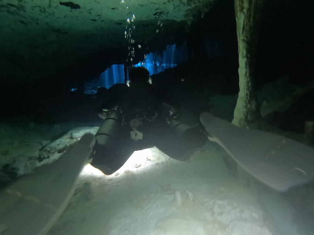 Blue Experience Diving景点图片