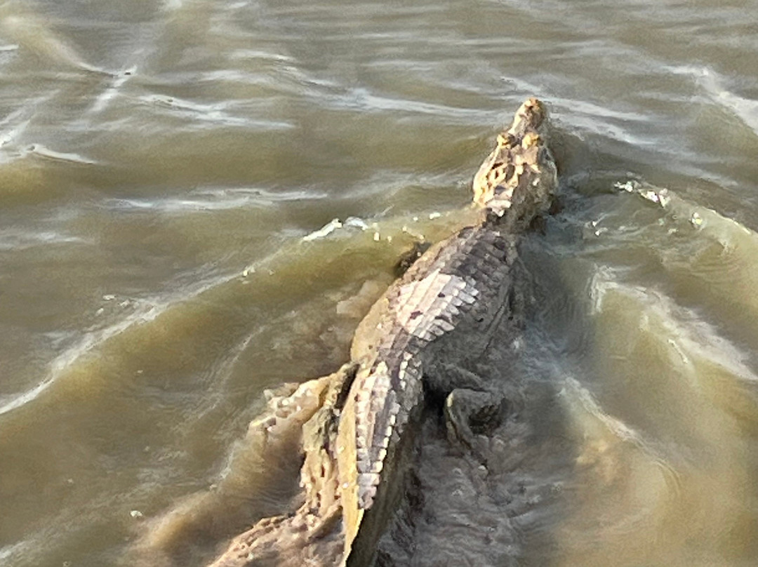 Impulse Travel-波哥大必去景点