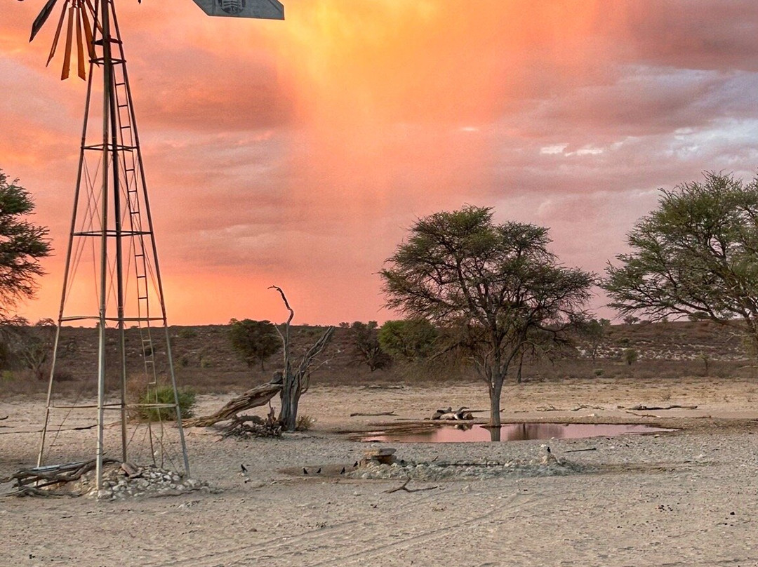 Kalahari Safaris - Desert Explorers-阿平顿必去景点