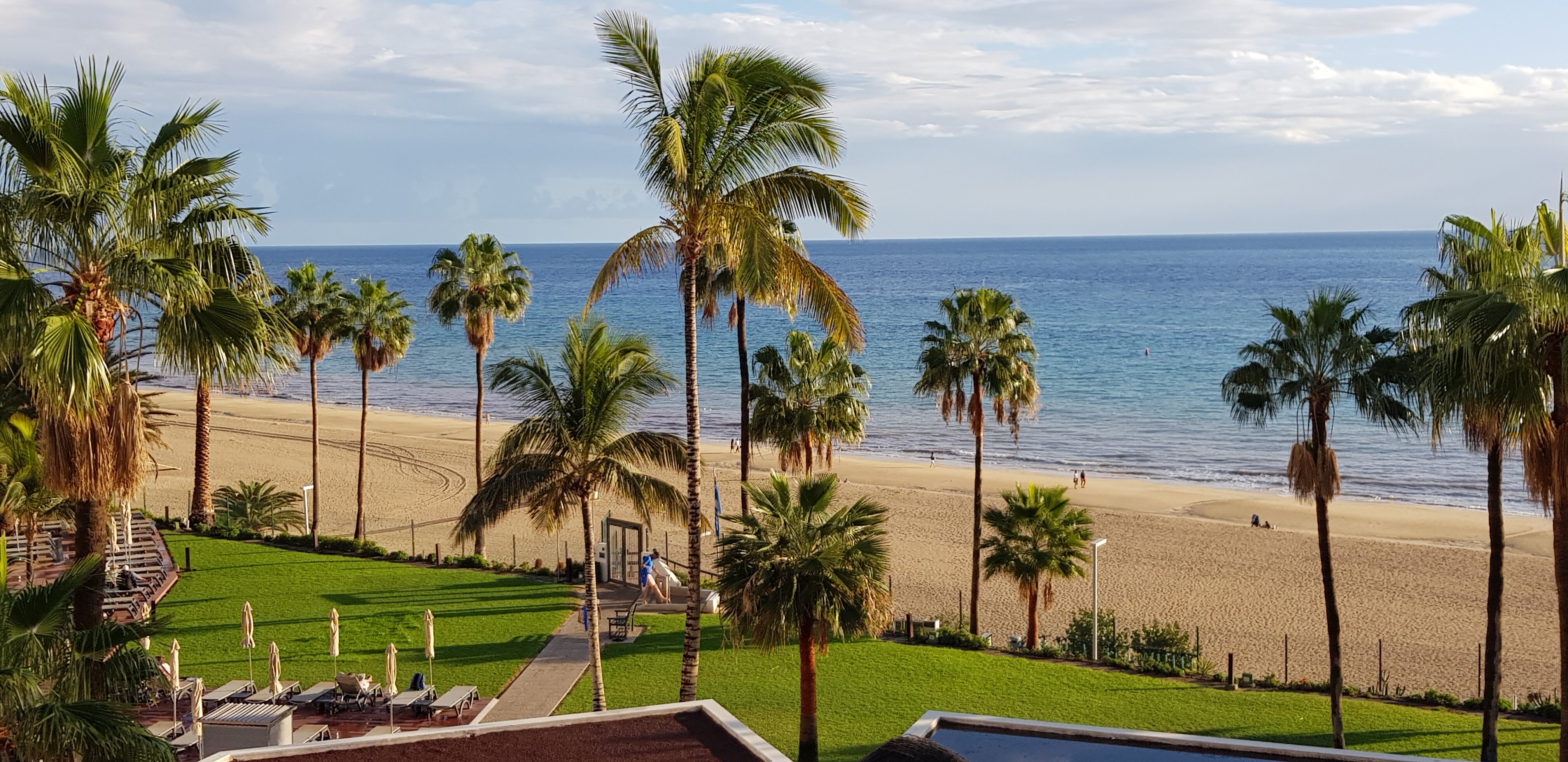 Hotel Riu Calypso-酒店景观