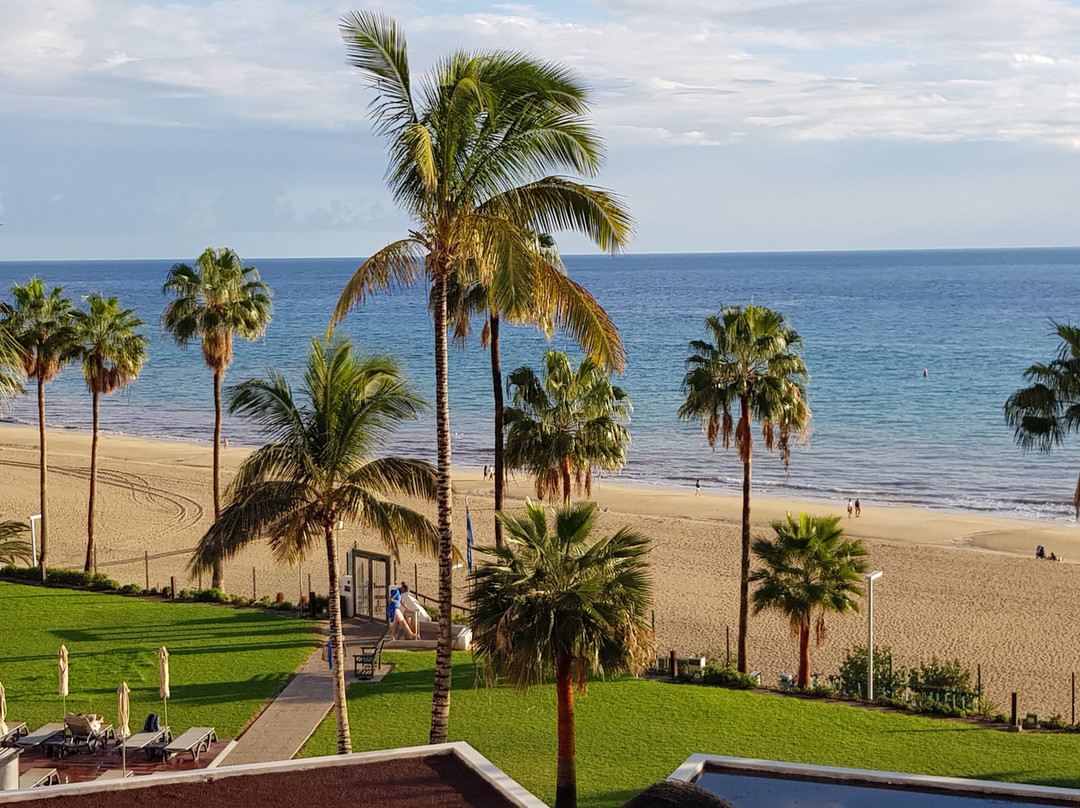 Hotel Riu Calypso主图