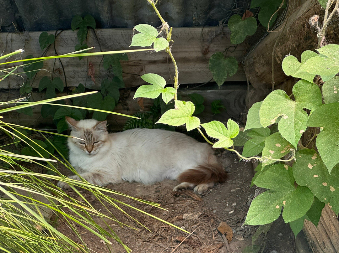 Whiti Farm Park景点图片